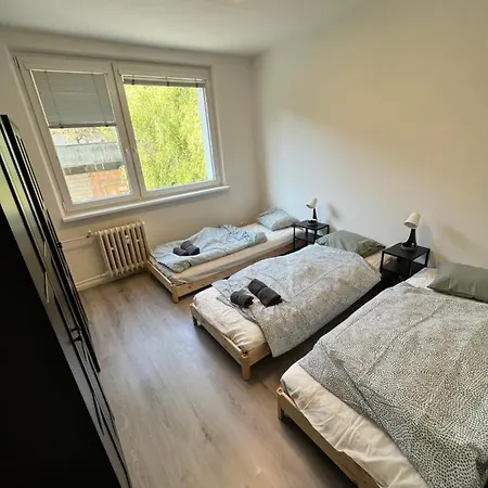 Free Wifi - Urban Oasis *