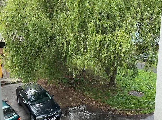 Apartament Free Wifi - Urban Oasis *