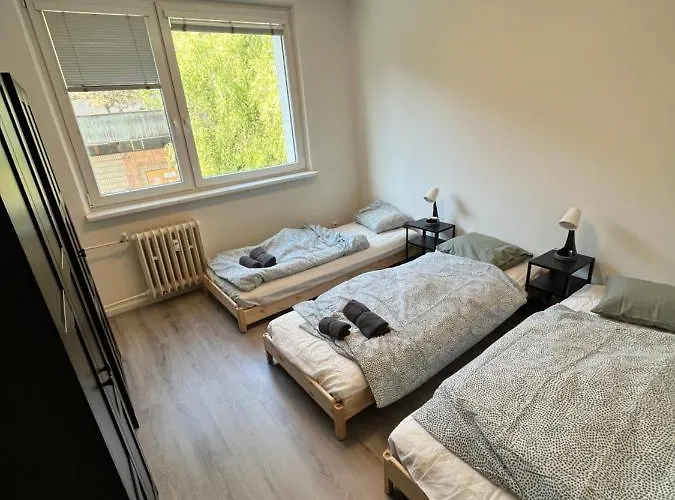 Free Wifi - Urban Oasis *